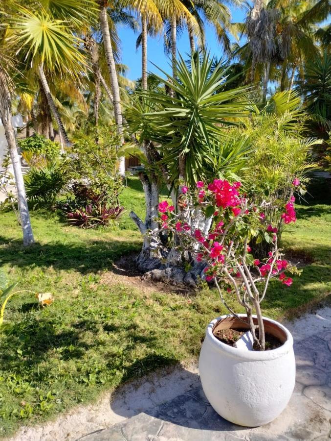 Alito Tulum Hotel Екстер'єр фото