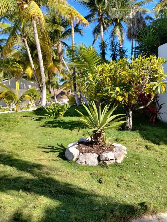 Alito Tulum Hotel Екстер'єр фото